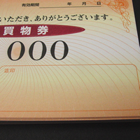 イベント用品・パーティグッズ／抽選用品・抽選グッズ／店舗用販促お買い物券チケット　100枚セット