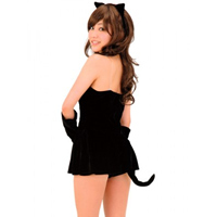 イベント用品・パーティグッズ／コスチューム・仮装／コスプレ　黒猫　セクシー